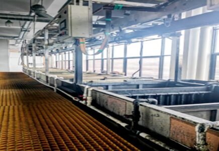 Electrophoretic line